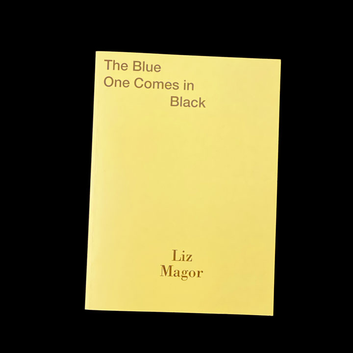 Liz Magor, The Blue One Comes in Black, 2015